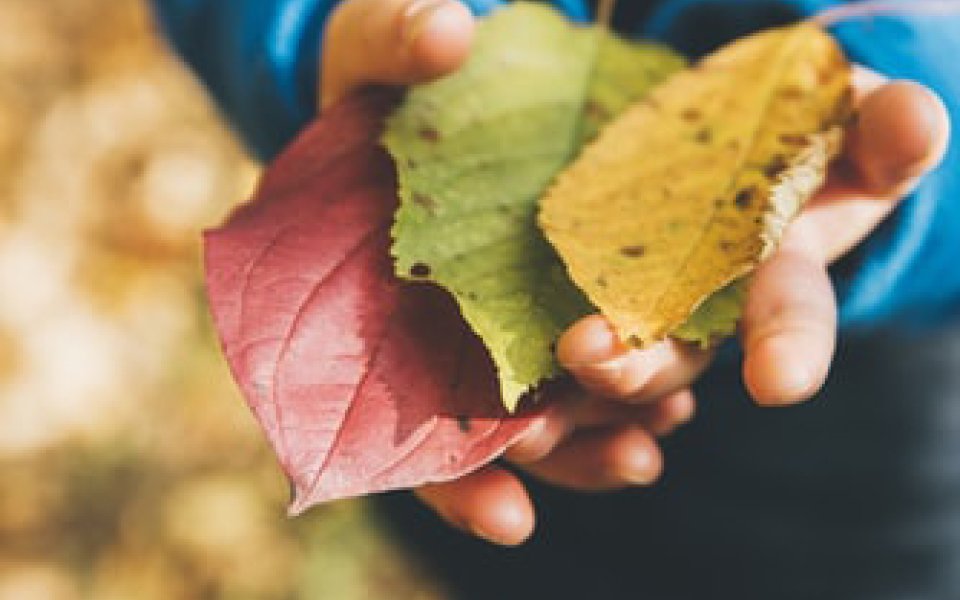 kind met herfstbladeren