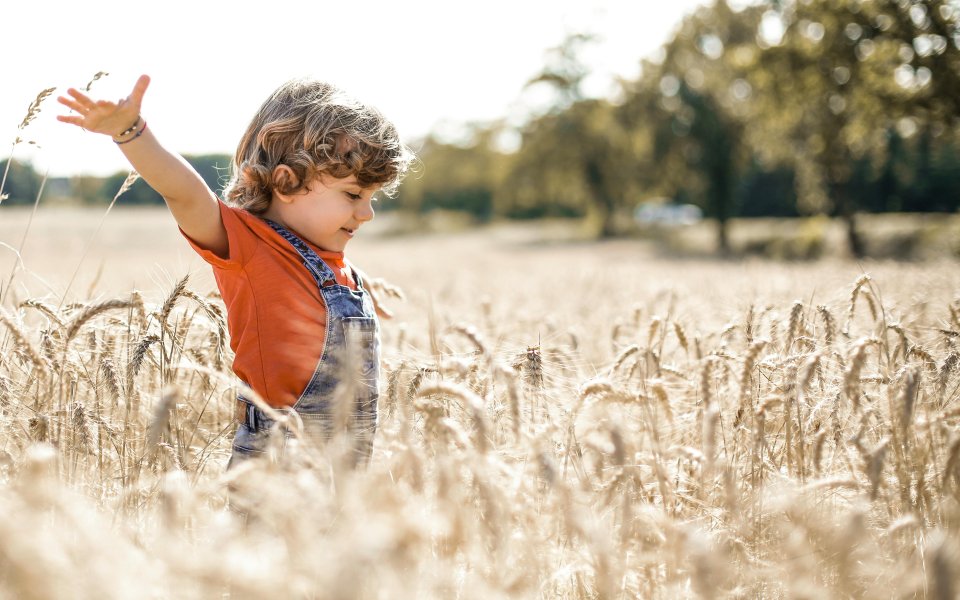 Een kind gooit de armen in de lucht in een korenveld