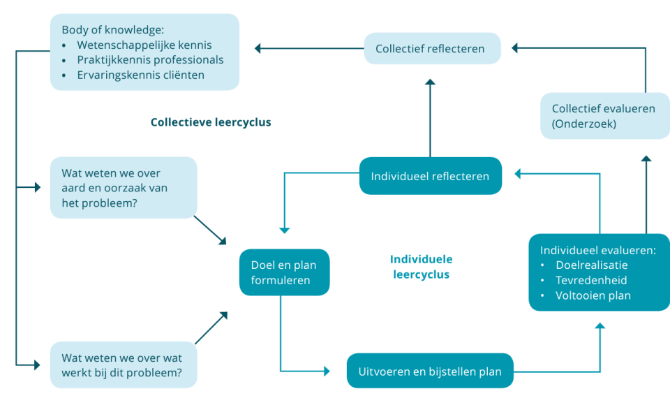 Schema lerend doen wat werkt - NJI